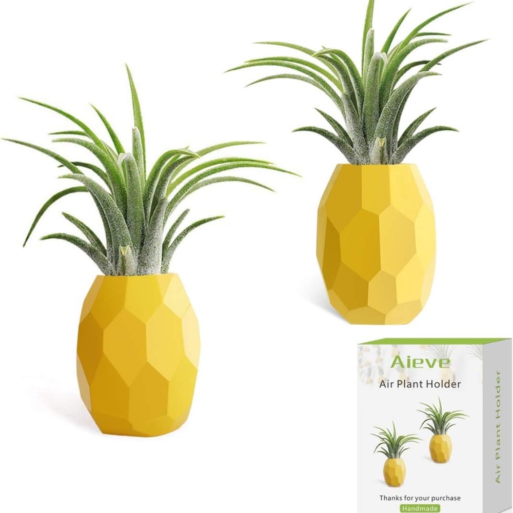 ONE pineapple wooden decor magnet